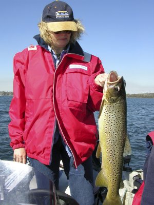 Land a trout like this in Tasmanias abounding lakes and streams