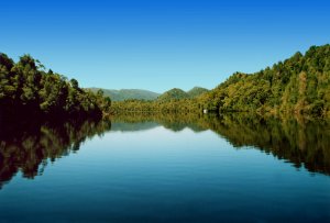 Take a cruise from Strahan on the mighty Gordon River