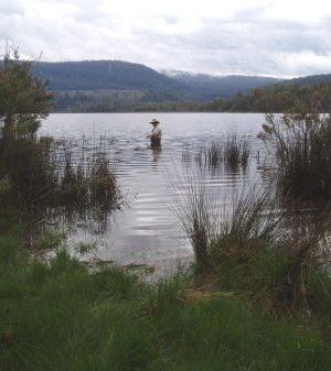 A fisherman in the serenity of Lake Tungatinah