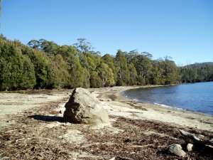 A highland beach at Lake St Clair