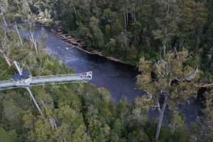 Walk among the tree tops over the Huon River